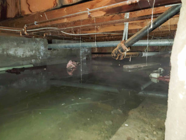 Best Flooded house restoration  in Kutztown, PA