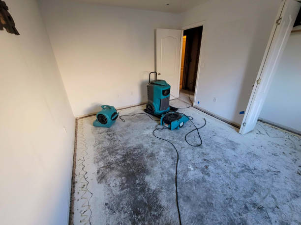 Best Ceiling water damage repair  in Kutztown, PA