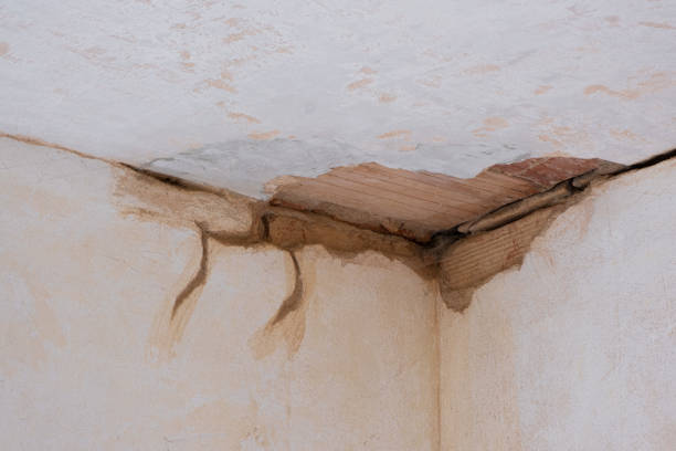 Best Carpet water damage restoration  in Kutztown, PA