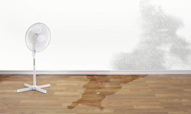 Best Flooded house restoration  in Kutztown, PA