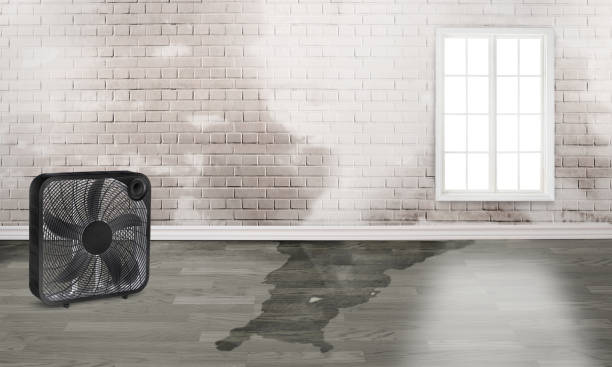 Local water damage restoration in Kutztown, PA