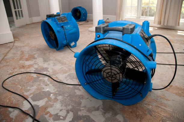 Best Basement water damage restoration  in Kutztown, PA