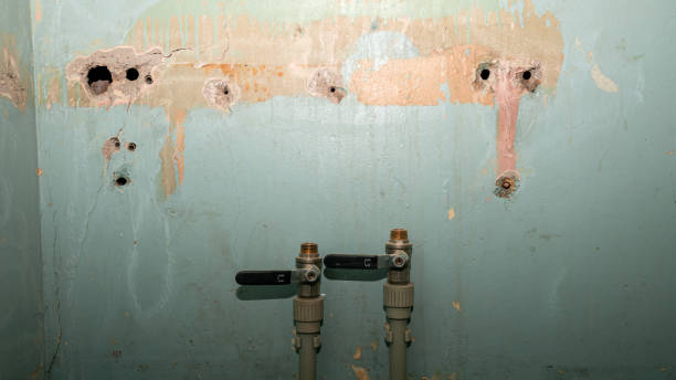 Best Water damage restoration near me  in Kutztown, PA
