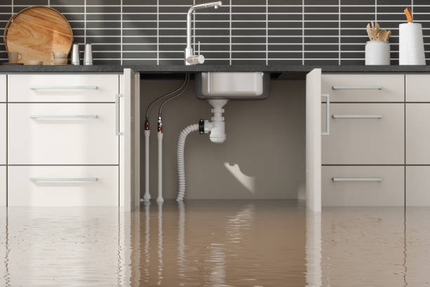 Best Water damage restoration experts  in Kutztown, PA