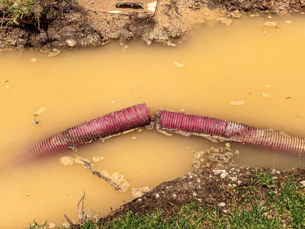 Best Sewage cleanup and water damage restoration  in Kutztown, PA