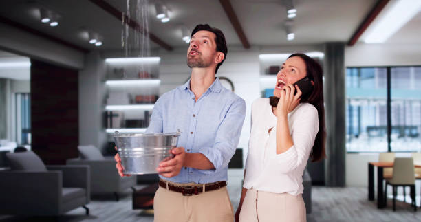 Best Water damage contractors near me  in Kutztown, PA