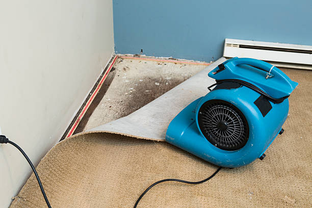 Best Emergency water damage restoration  in Kutztown, PA